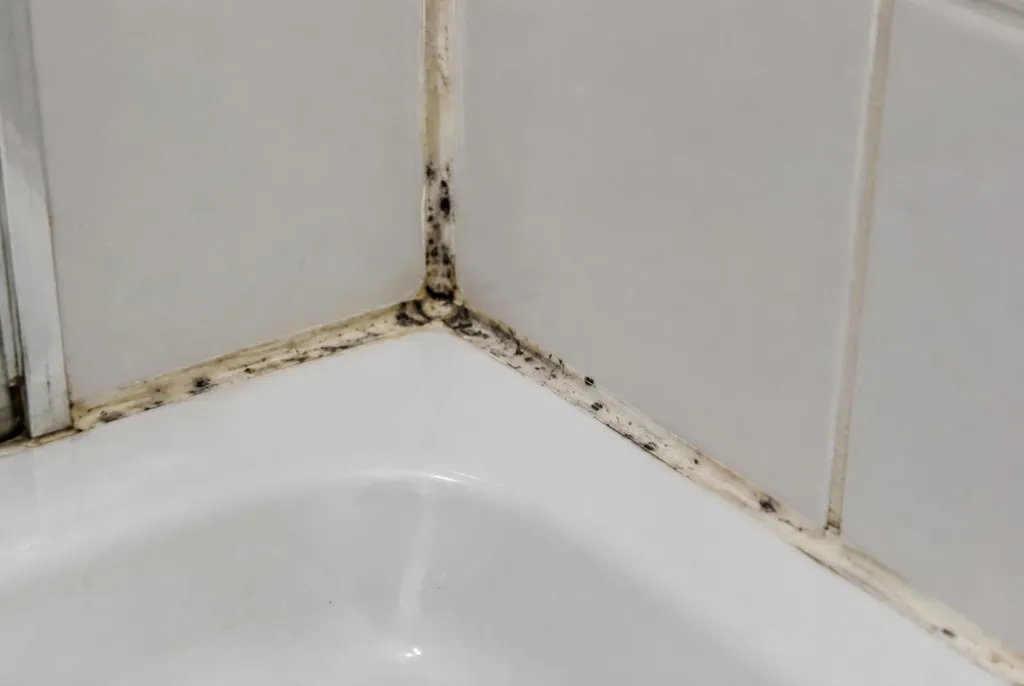 Kitbedrijf Doornspijk – beschimmelde kitranden